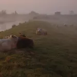 't Voorhuis Aan De Lek * Nieuw-Lekkerland