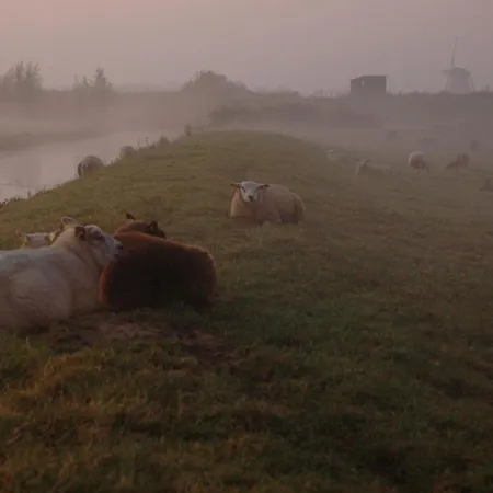 't Voorhuis Aan De Lek * Nieuw-Lekkerland