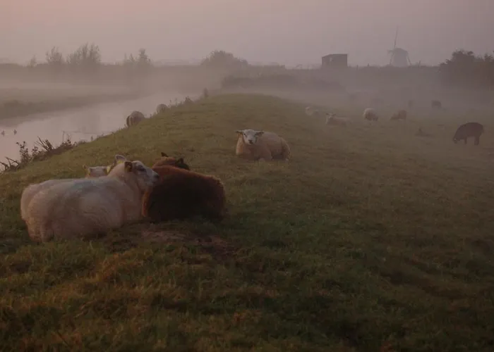 't Voorhuis Aan De Lek * Nieuw-Lekkerland